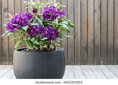 线上赌钱软件对比分析功能稳定性与客服支持全方位解析