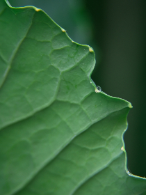 线上老虎机的历史与发展：从实体到虚拟的转变