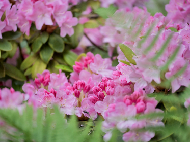 bbcc9直播最新精彩内容抢先看