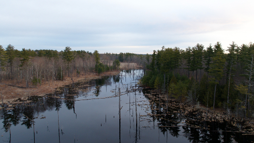 《中国声音第二季》震撼直播,聆听时代强音 《中国声音第二季》震撼直播,聆听时代强音