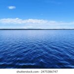 《中国好声音》汪峰直播现场精彩回顾 mf0koqxctj