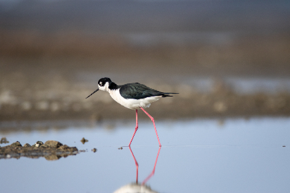 《东森电影在线直播》高清免费观看最新热门大片 《东森电影在线直播》高清免费观看最新热门大片